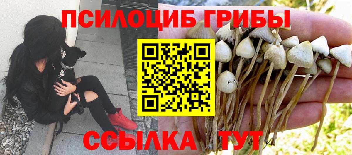 закладка  Галлюциногенные грибы ЛСД  Вход с VPN  Якутск 