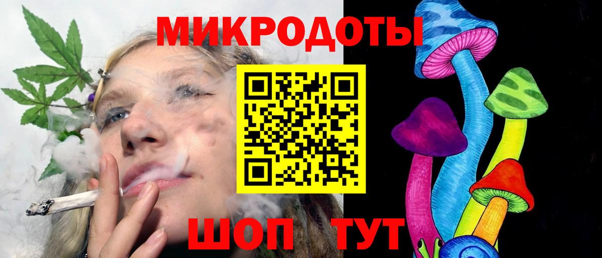 Галлюциногенные грибы Psilocybine cubensis Якутск